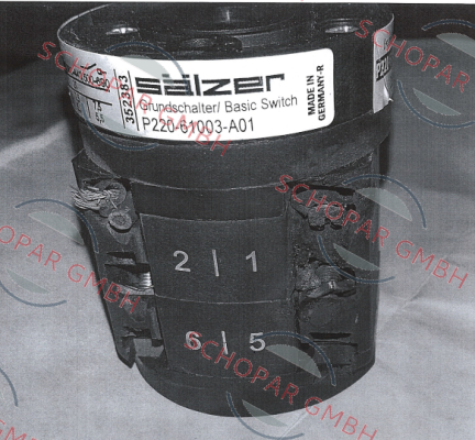 Salzer-P220-61003-219M1