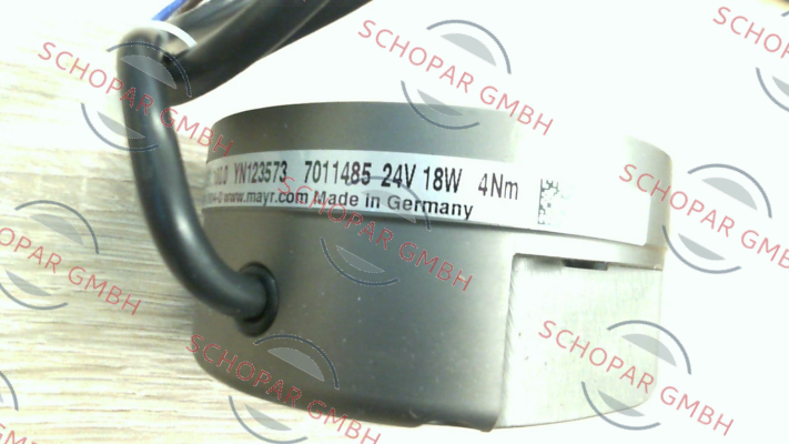 Mayr-7011485