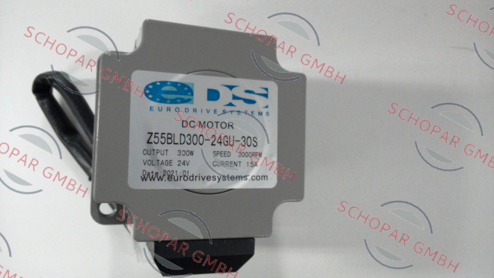 ZD-Motors-Z5BLD300 300W 24V 3000 rpm