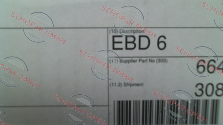 Zf-EBD6