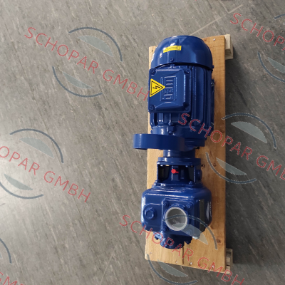 Varisco pumps-JE1-110G10NT22