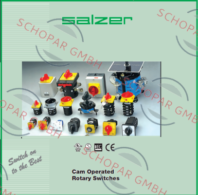 Salzer-61131