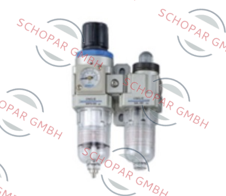 Chelic-NFLD300-02-MG-A-PR10