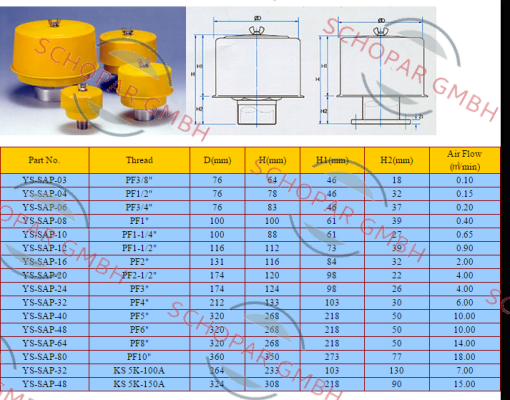 Sejin-SAP-08-PP 