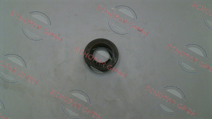 B.Brake s.r.l.-dust protection ring/rubber for 04.38.13N-SO