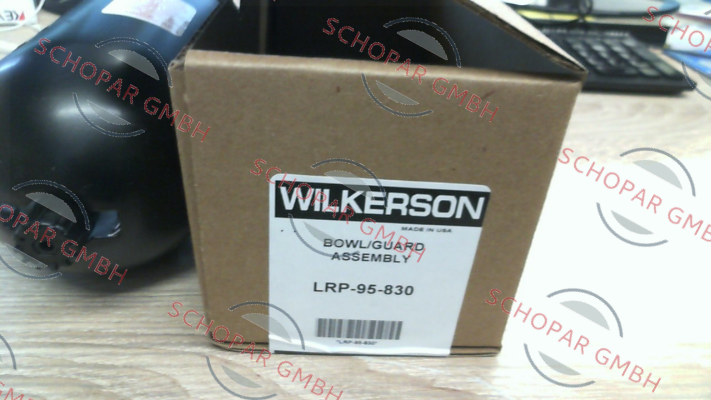 Wilkerson-LRP-95-830