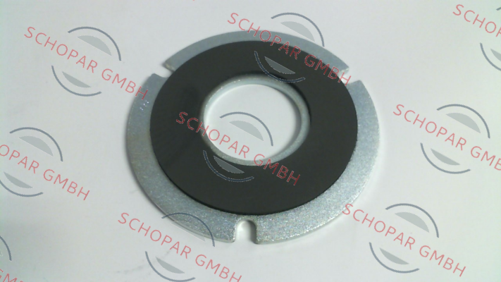 Temporiti s.r.l.-GSBT-S100 Anchor Plate