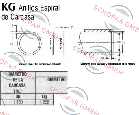 Rotor Clip-KG-175SJ 