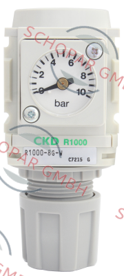 Ckd-R1000-8G-G3